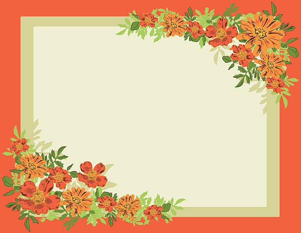 Summer Frame: Cosmos and Daisies vector art illustration