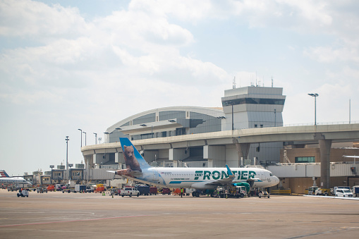 Frontier Airlines Airbus A320-251N aircraft registered as N335FR with Jo Jo the Grizzly Bear livery parked at Dallas/Fort Worth International Airport in April 2022