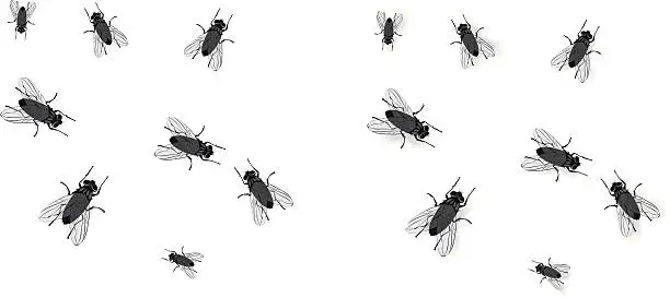 Vector illustration of Flies