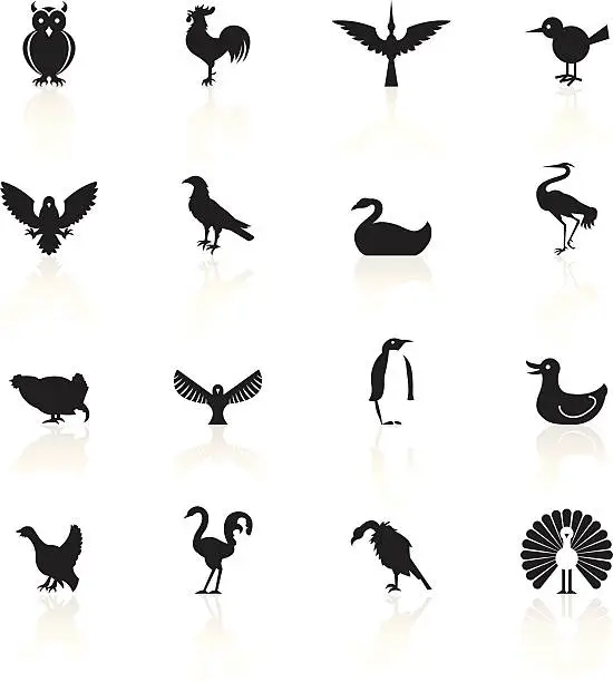 Vector illustration of Black Symbols - Birds
