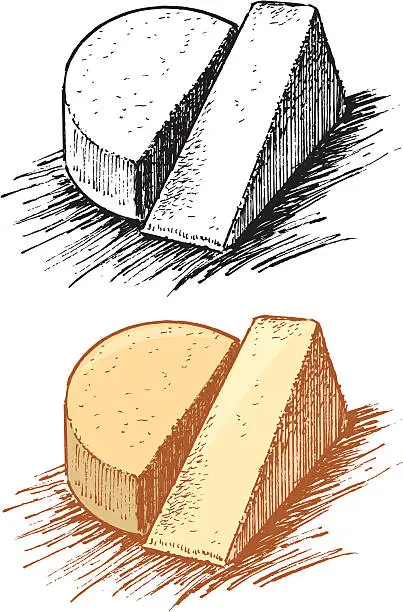 Vector illustration of Cheese Wedge and Wheel