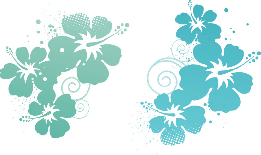 Hibiscus design elements. Hires jpeg included. Similar illustrations - see my portfolio... 