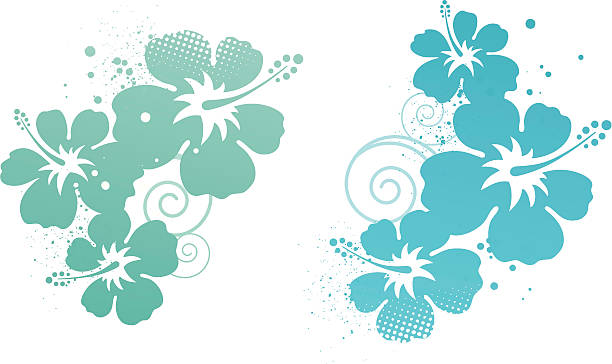 Hibiscus design elements vector art illustration