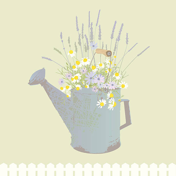 ilustraciones, imágenes clip art, dibujos animados e iconos de stock de flores de verano - chamomile plant chamomile bouquet wildflower