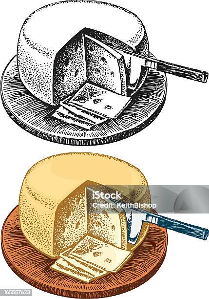Schweizer Käserad Appetithäppchen Stock Vektor Art und mehr Bilder von Laib Käse - Laib Käse, Vektor, Farbbild