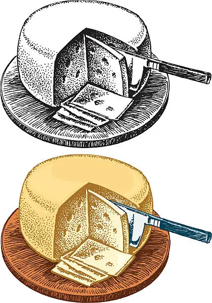 Vector illustration of Swiss Cheese Wheel, Appetizer