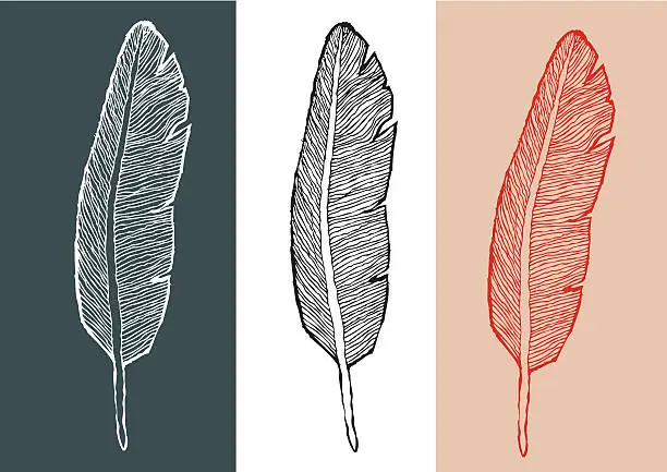 Vector illustration of Hand drawn feather