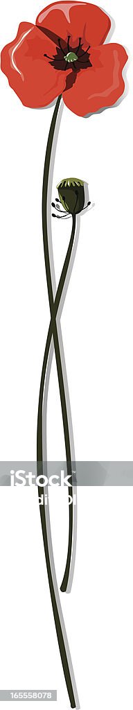 Coquelicots élégant - clipart vectoriel de Fleur de pavot - Plante libre de droits