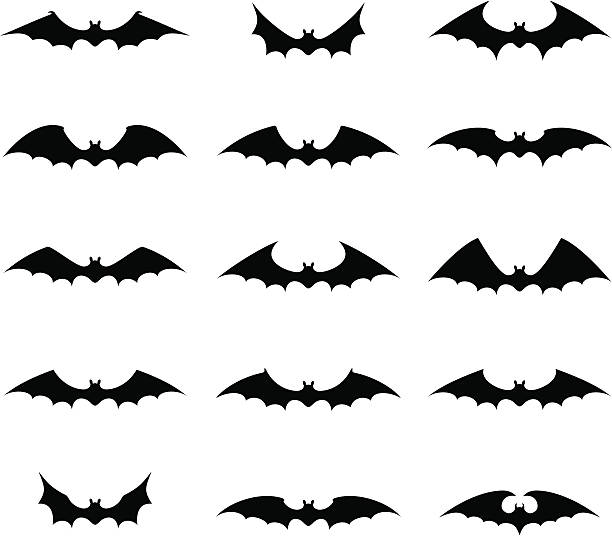 Halloween Objects Vector Art Icons And Graphics For Free Download