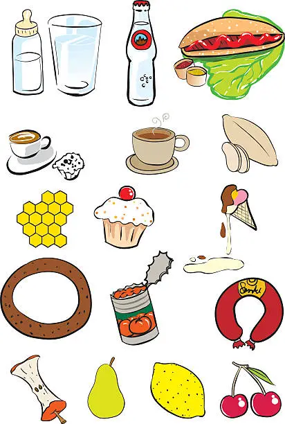 Vector illustration of food