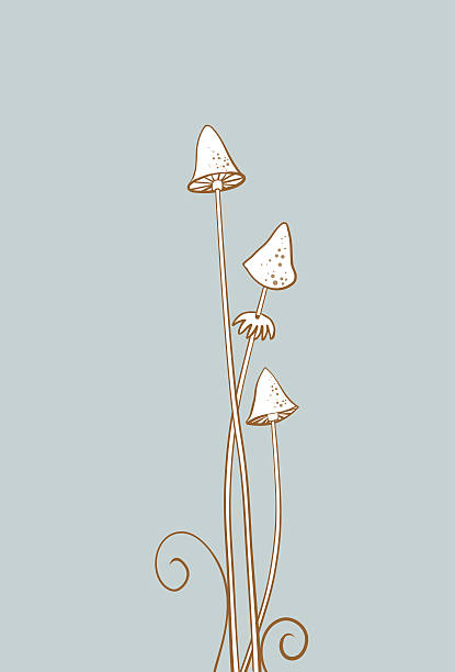 mushroom vector art illustration