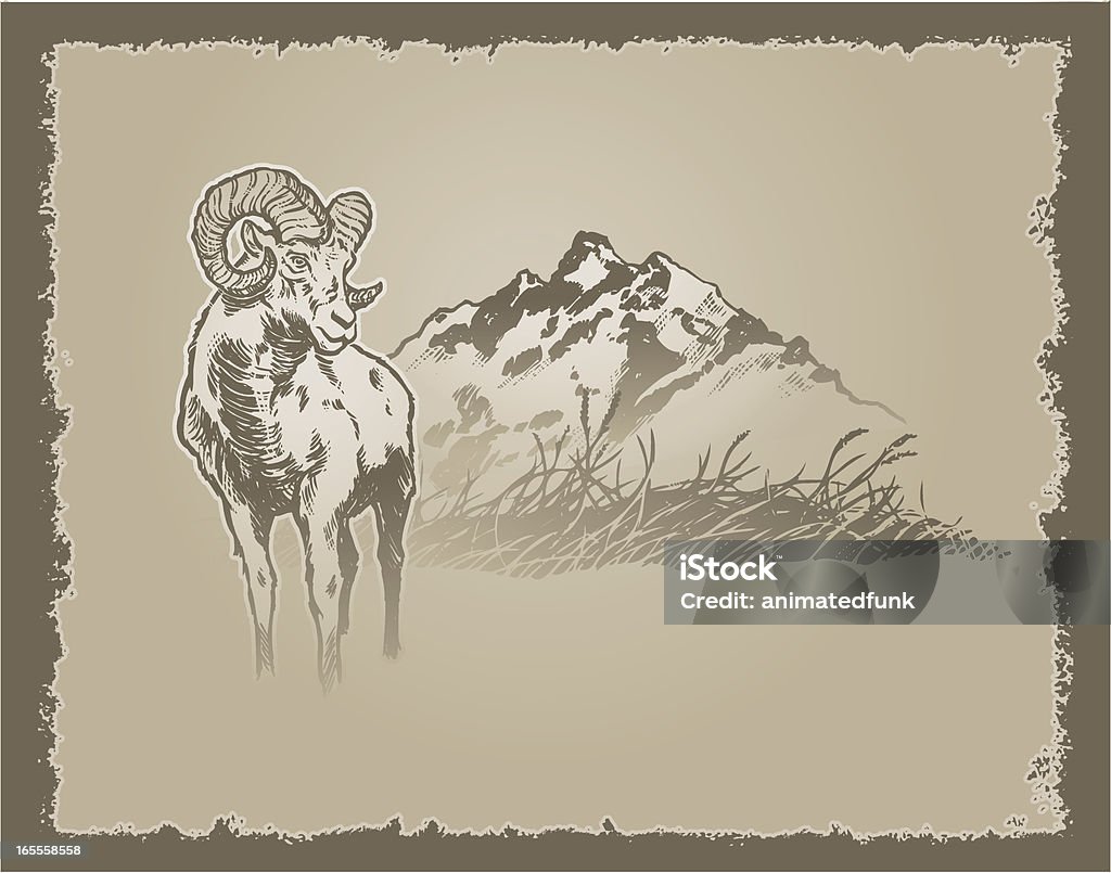 Big Horn Grunge Big horn sheep monochromatic illustration. Simple gradients used. No flattened transparencies. Bighorn Sheep stock vector