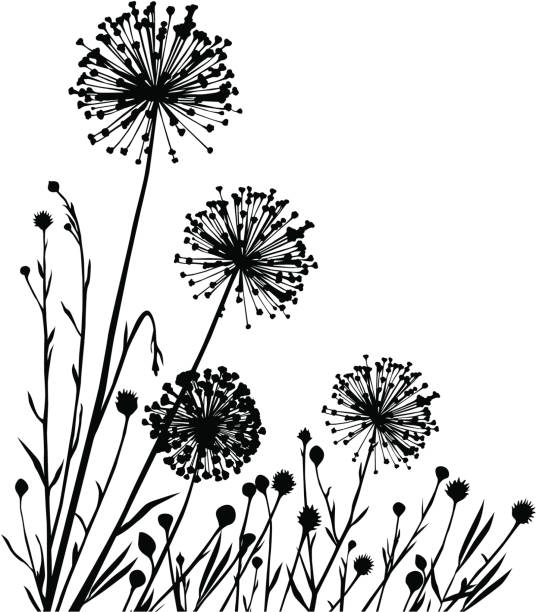 ilustraciones, imágenes clip art, dibujos animados e iconos de stock de plantas de composición - allium flower