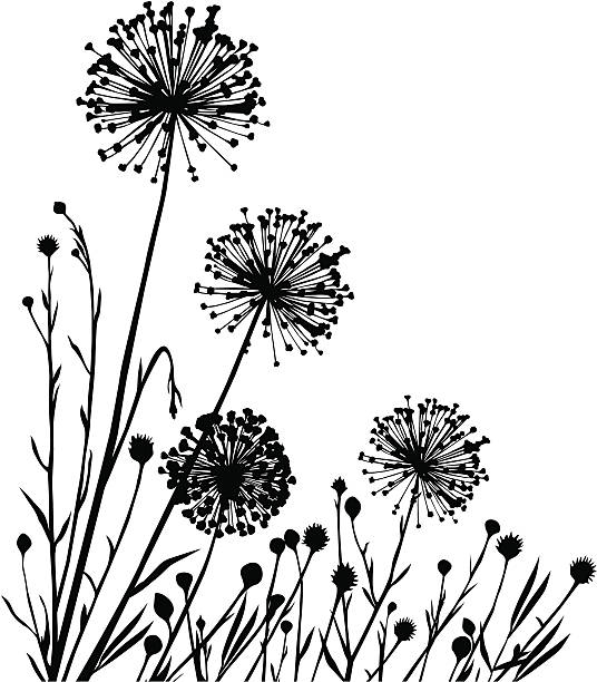 stockillustraties, clipart, cartoons en iconen met plants composition - dandelion white background