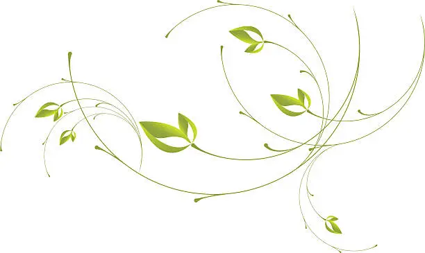 Vector illustration of Leaf Scrolls