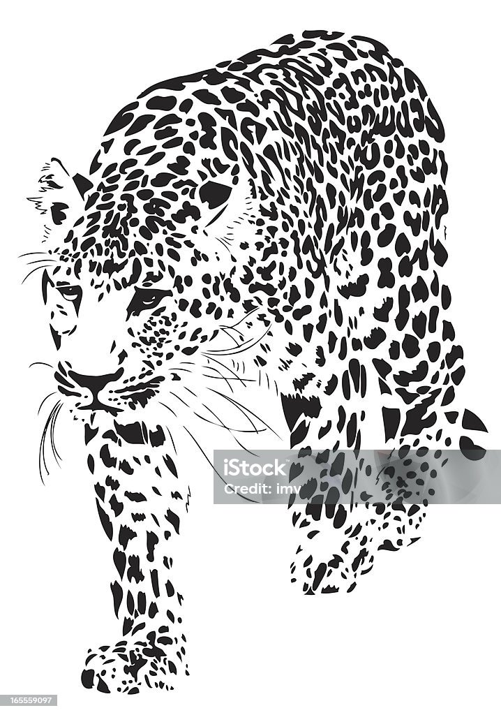 Leopardo ilustración (Panthera pardus) - arte vectorial de Leopardo libre de derechos