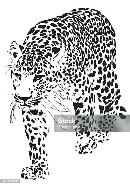 Ilustración de Leopardo Ilustración y más Vectores Libres de Derechos de Leopardo - Leopardo, Animal, Animales de Safari