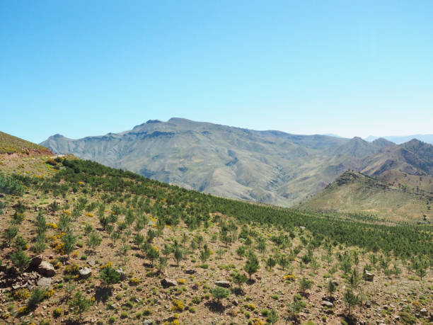 istock The Wilderness of Morocco 1655668860