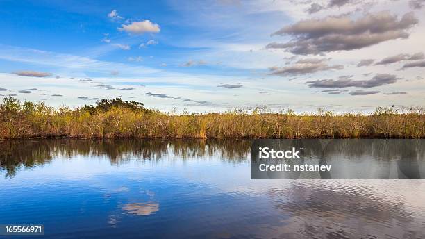 Incredibile Panorama Delle Everglades - Fotografie stock e altre immagini di Acqua - Acqua, Ambientazione esterna, Ambientazione tranquilla