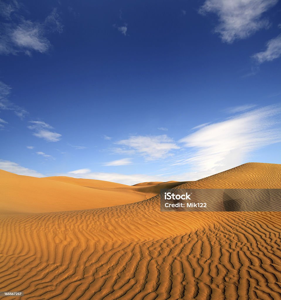 저녁 사막 풍경 - 로열티 프리 가뭄 스톡 사진