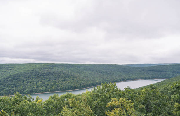 istock allegheny  state forest  top down view with a lake 1655677815