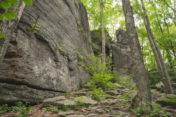 istock huge rock bolders park, Rimrock allegheny state forest atraction 1655685182