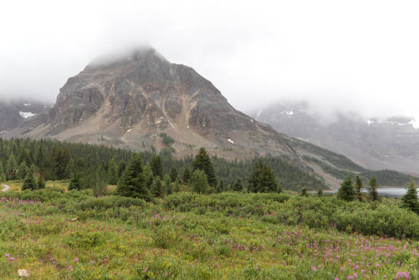 istock Assiniboine National Park, Canada 1655739788
