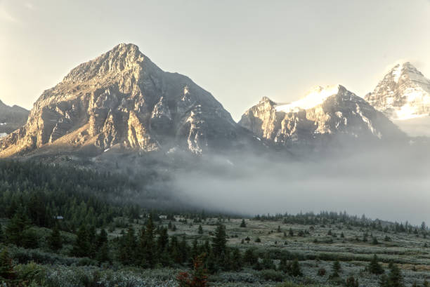istock Sun glaring through the morning mist 1655740350