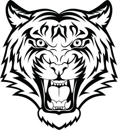 A tiger head logo. This is vector illustration ideal for a mascot and tattoo or T-shirt graphic.