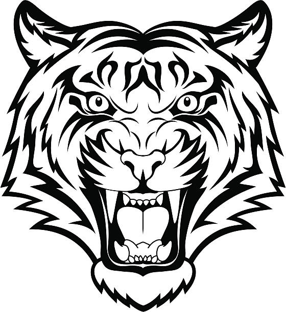 Tiger anger A tiger head logo. This is vector illustration ideal for a mascot and tattoo or T-shirt graphic. tiger mascot stock illustrations