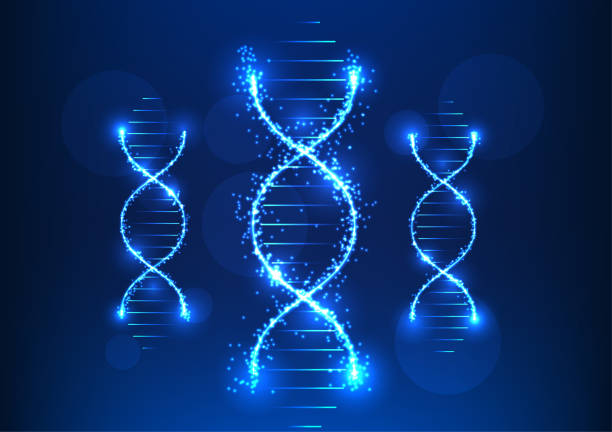 istock Medical technology that shows the structure of DNA characteristics, representing the use of technology in medicine that shows DNA information to bring information to research and treat patients 1655766041