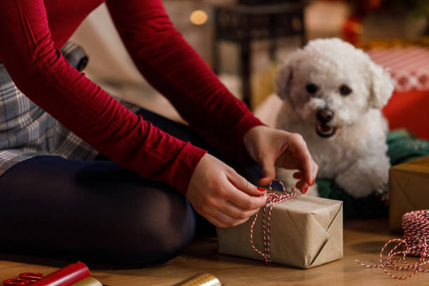 istock Young woman sitting on the floor and tying a string around a Christmas gift box she is decorating 1655793621