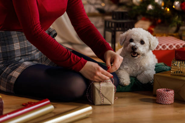 istock Young woman sitting on the floor and tying a string around a Christmas gift box she is decorating 1655793632