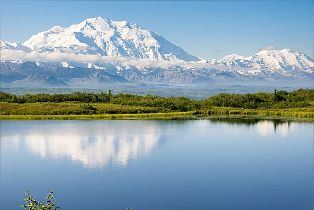 Reflection Lake Small Lake near Wonder Lake in Denali National Park perfectly situated to reflect mighty Mt. McKinley. denali mountain stock pictures, royalty-free photos & images