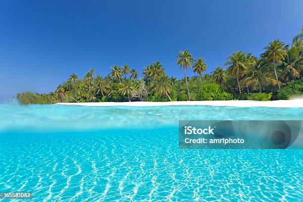 Overwater Underwater Split Shot Stock Photo - Download Image Now - Underwater, Beach, Half Full