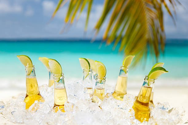 birre con limes sotto la palma su una spiaggia - beer bottle beer cold alcohol foto e immagini stock