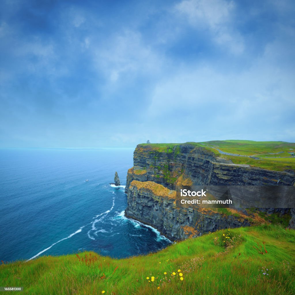 Acantilados de Moher en Irlanda - Foto de stock de Acantilados de Moher libre de derechos