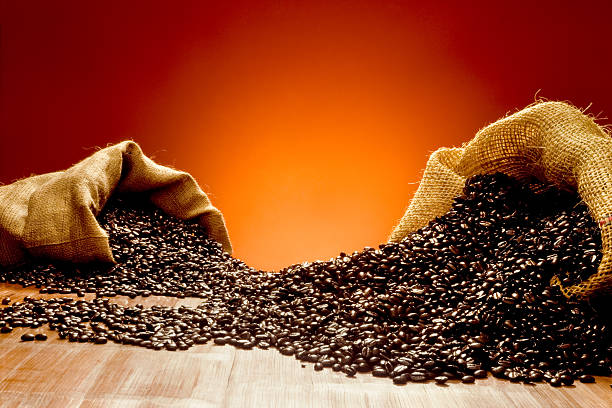 coffee beans stock photo