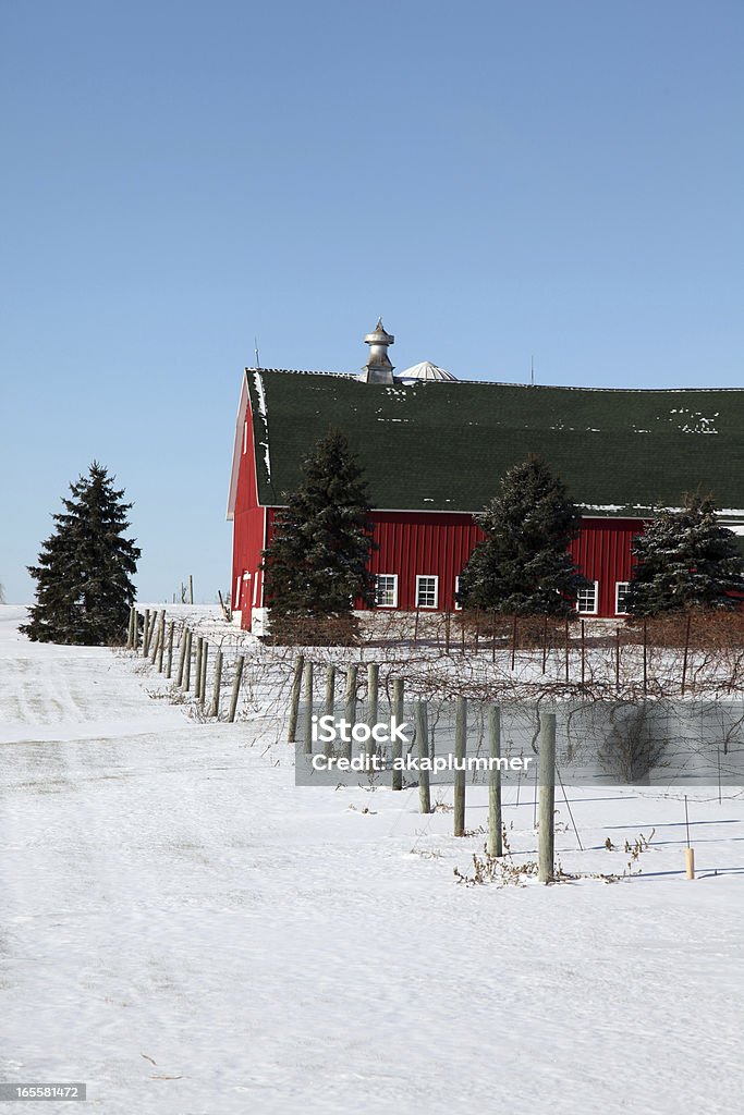 Red house next to a Vineyard during sunny winter day Red Barn and frozen vineyard Agriculture Stock Photo