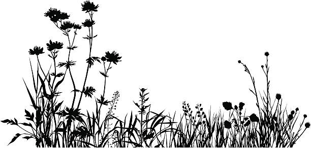 illustrations, cliparts, dessins animés et icônes de plantes composition une - grass prairie silhouette meadow