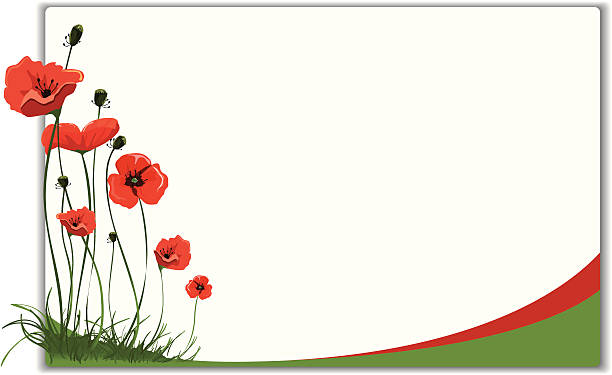 Poppies frame design vector art illustration