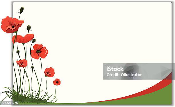 Poppies Frame Design Stock Illustration - Download Image Now - Poppy - Plant, Backgrounds, Vector