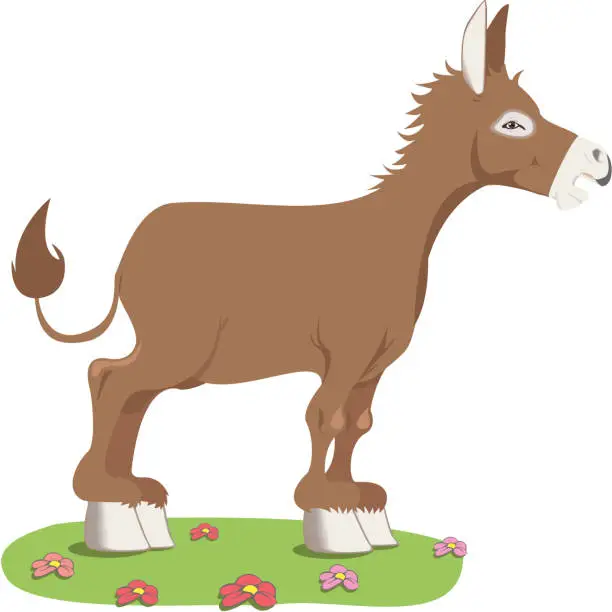 Vector illustration of donkey