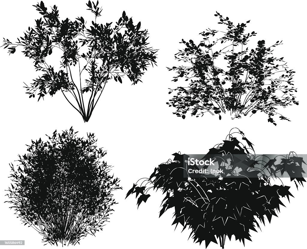 ベクトルの木々。 - 潅木のロイヤリティフリーベクトルアート