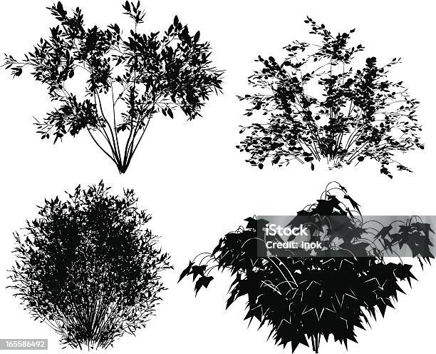 ベクトルの木々 - 潅木のベクターアート素材や画像を多数ご用意 - 潅木, 輪郭, ベクター画像