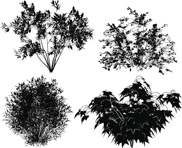 Vector illustration of Vector bushes.