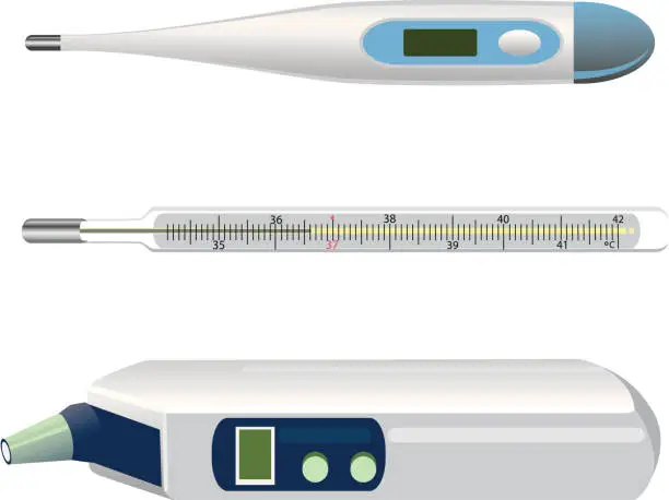 Vector illustration of 3 different types of thermometers on a white background