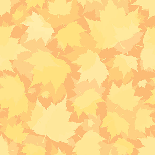 ilustrações de stock, clip art, desenhos animados e ícones de folhas de outono sem costura padrão - changing form change backgrounds leaf