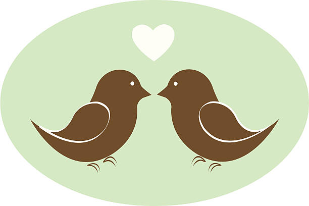 Liebe Vögel – Vektorgrafik