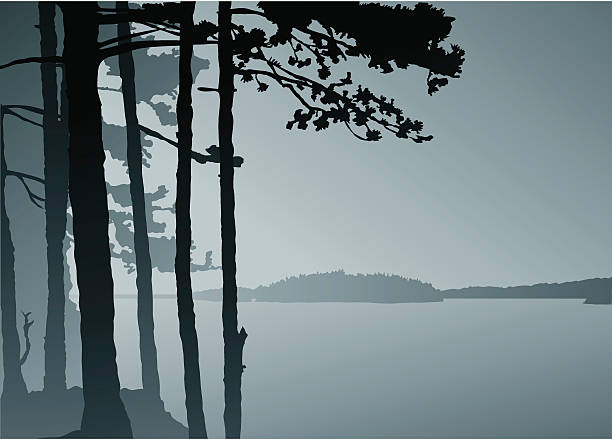 Calm Lake Pine trees stand quietly beside a calm northern lake. northern ontario stock illustrations
